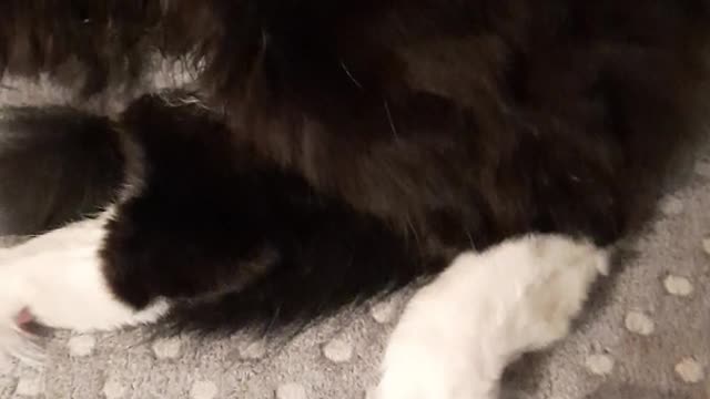 Can't Touch This