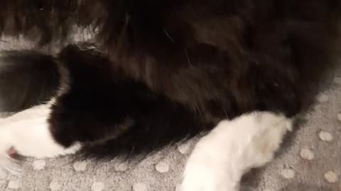 Can't Touch This