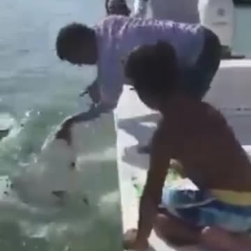 Probably the manliest reaction to getting your finger bitten off by a shark