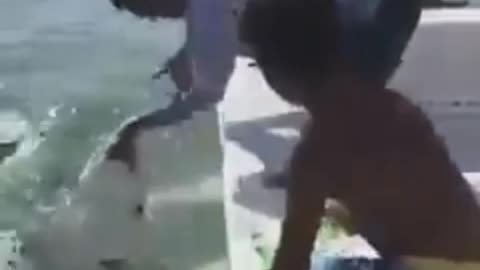 Probably the manliest reaction to getting your finger bitten off by a shark