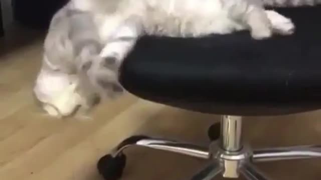 How did you get down