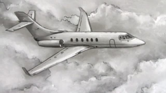 Draw A Rough Outline Of The Plane