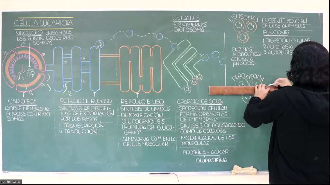 VONEX SEMESTRAL INTENSIVO | SEMANA 06 | BIOLOGÍA