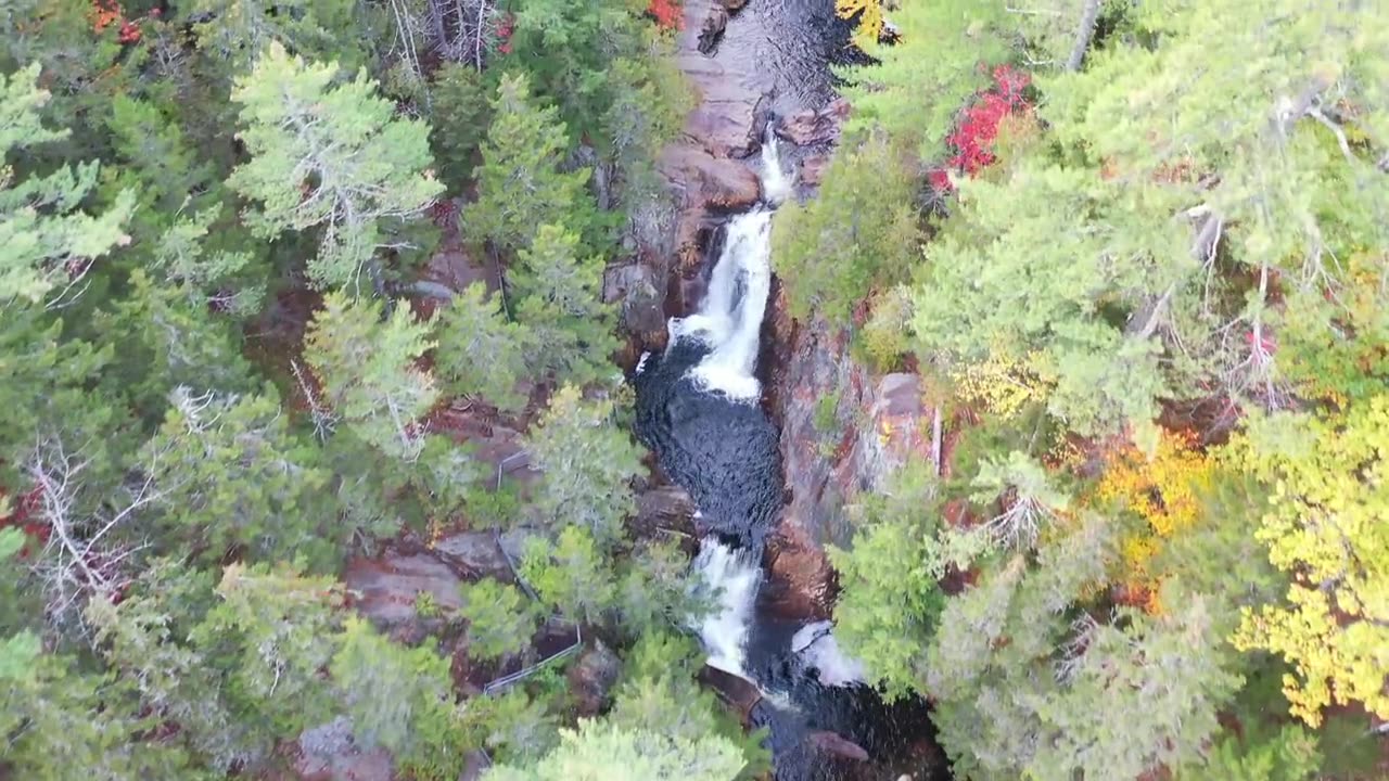 Stream Running Through The Woods