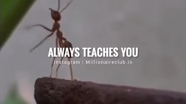 True things that you must have to know