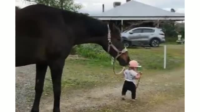 Little Girl Leads Horse