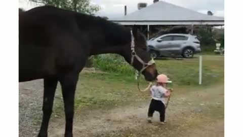 Little Girl Leads Horse