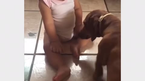 Dog love