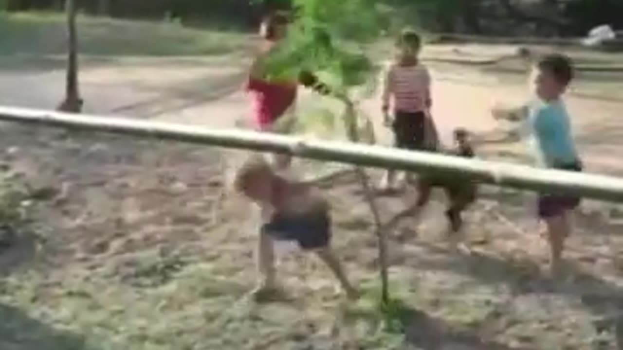 The Agility Of Apes Very Few Animals Can Match #shorts #shortvideo #video #virals #videoviral