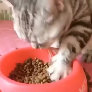 Send this to a hungry friend🥰