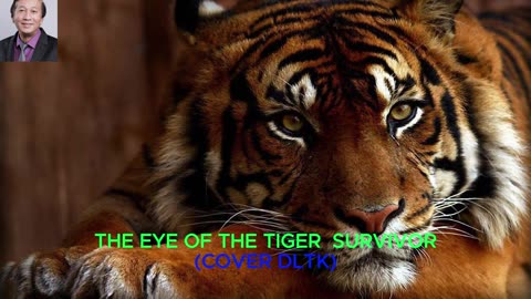 EYE OF THE TIGER