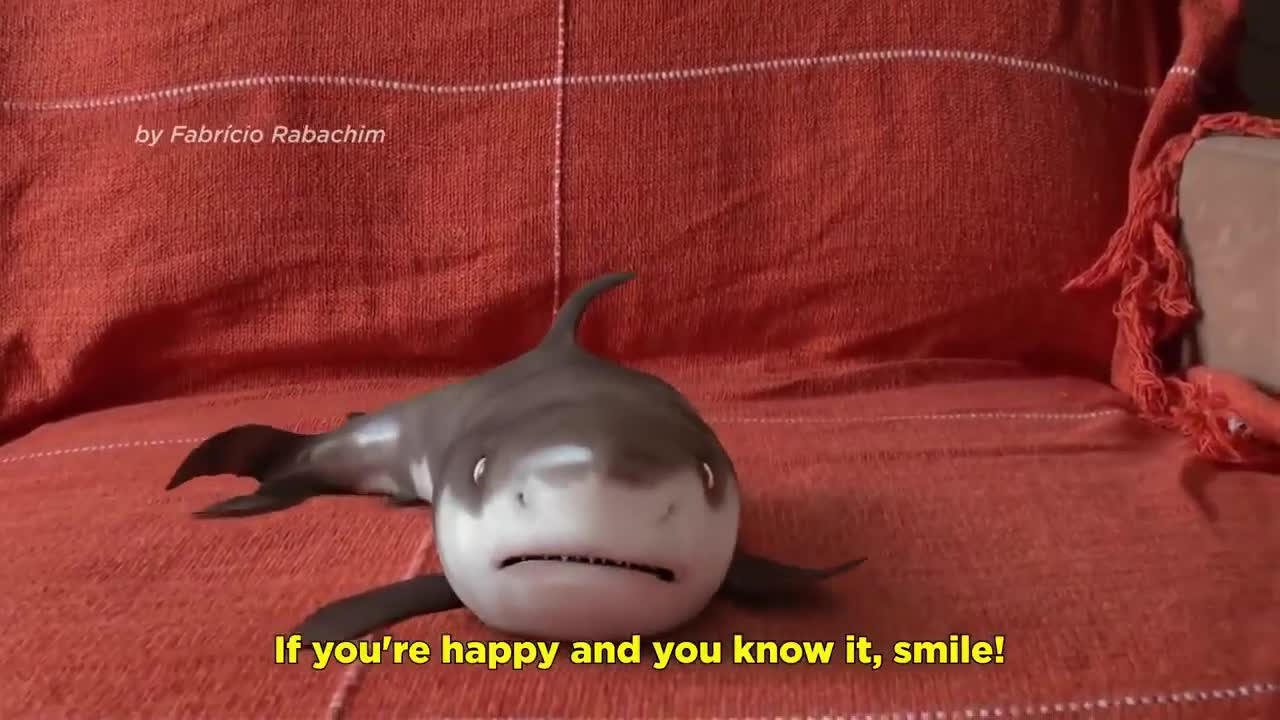 Cutest Baby Shark Happy Shark Funny Shark Cute Baby Animals Reaction ep:04