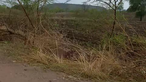 Crossing dessert in North Ethiopia በበርሐ የሞተር ጉዞ