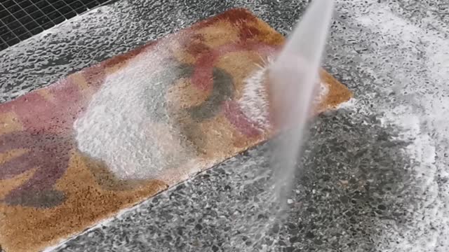 Carpet cleanig