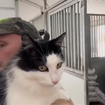 Stone Cold Steve Austin responds to his followers' concerns about his cat Pancho