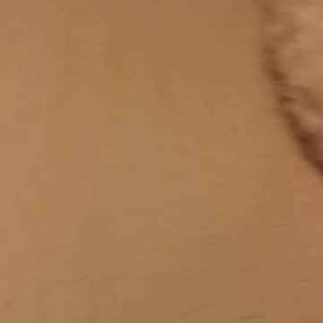 Buddy is trying to swim away