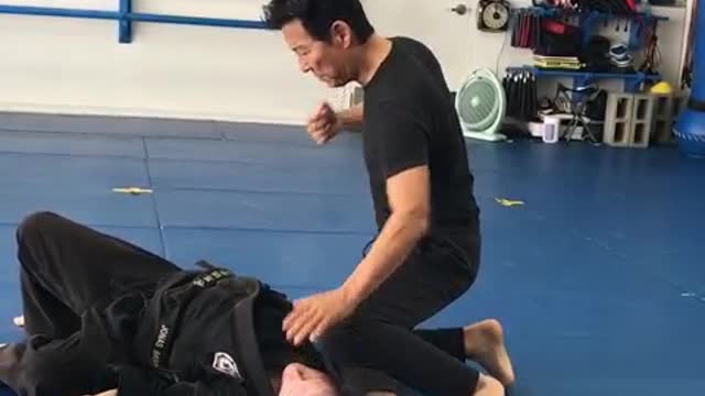 Grand Master Phillip Rhee Doing Hapkido