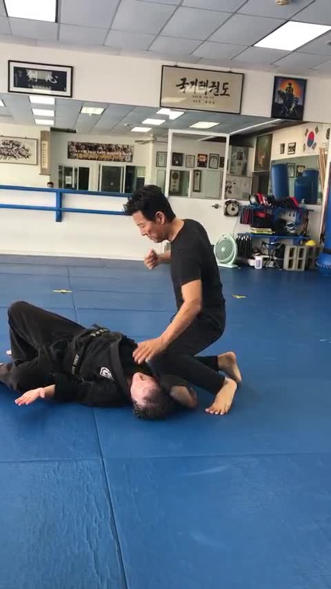 Grand Master Phillip Rhee Doing Hapkido