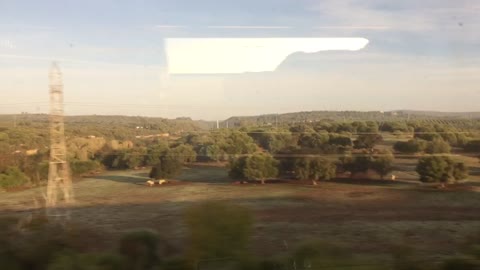 Seville, Spain: All Aboard!