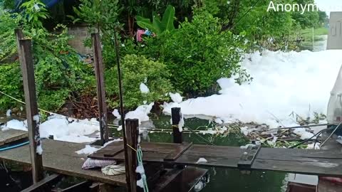 Sea Foam Floats into a Restaurant