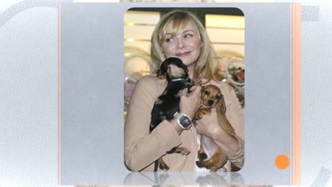 Little dogs are the favorite dogs of celebrities.
