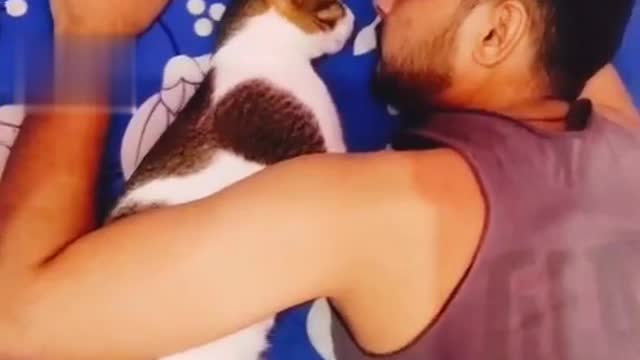 Cute cat compilation