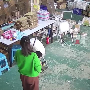 Cat helps dog get revenge🐕🐈