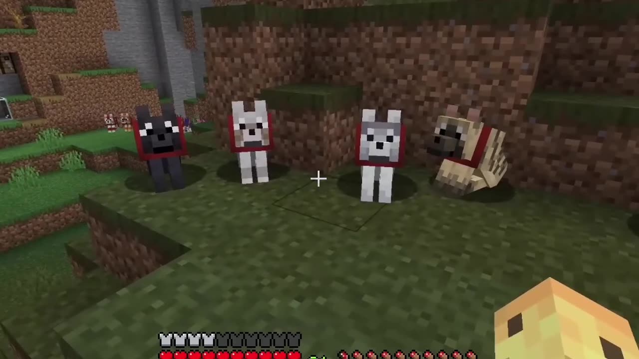 Discover the Rare Wolves in Minecraft 1.17: New Spawns & Behaviors