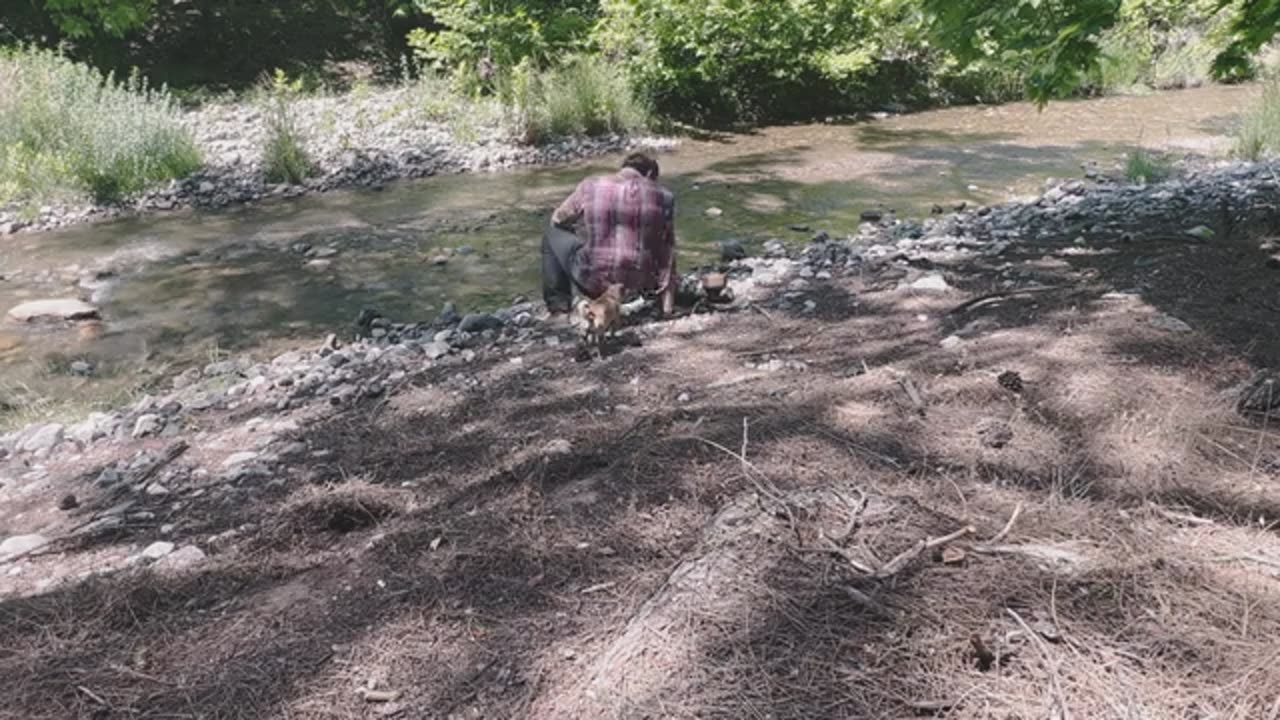 Steak Tacos on Rock in Nature | Bushcraft Style Cooking | ASMR