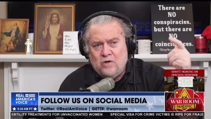 Bannon - "You’re the Gestapo - you will go down in history as some of the worst Americans "