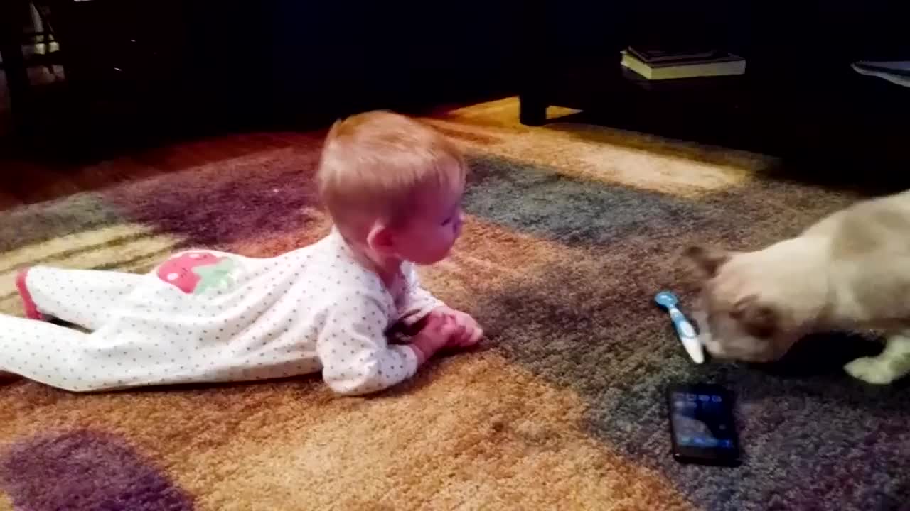 cute kittens with affectionate children