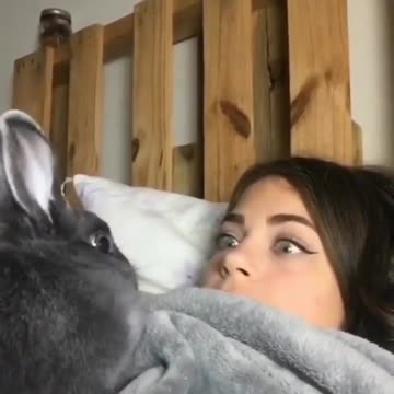 Funny bunny 🐰 😄