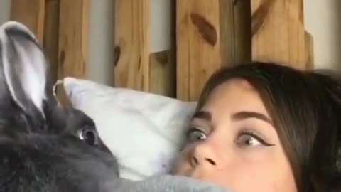 Funny bunny 🐰 😄