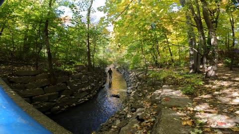 ☀️ In My Natural Habit 🌊 Day 14 Creek Life 🌴 Some Where In Ottawa 🍁