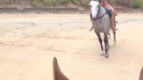 Cavalão xonado, essa monta hein