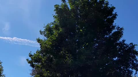 Chemtrailing - Spoiling a lovely day.