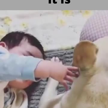 how sweet and pleasant it is