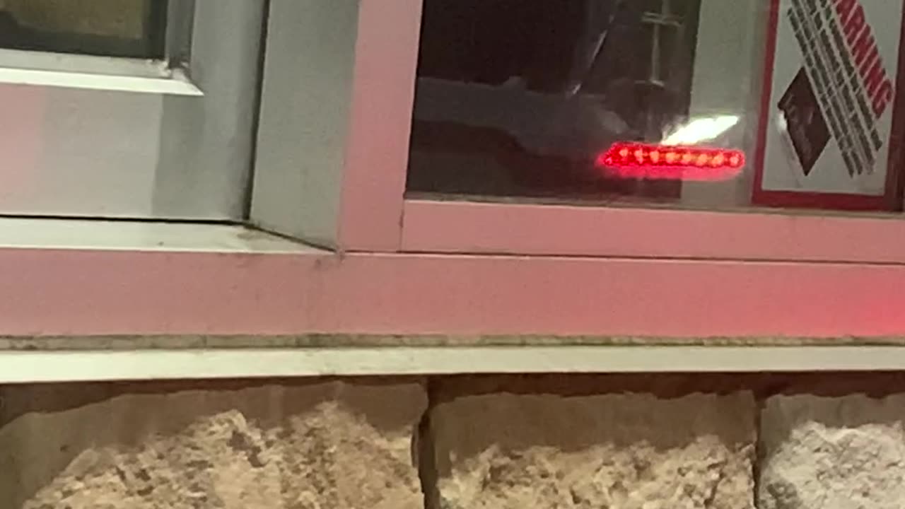 Rats at Whataburger Drive-Thru