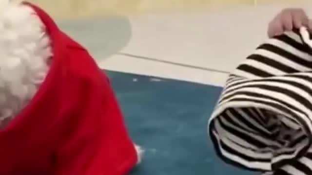 Funny Animals 🤣 The Snow is so Much Fun 🐶, Try Not To LAUGH!!!