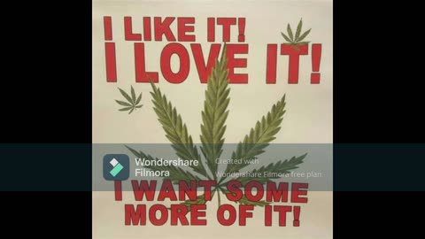 MARY JANE