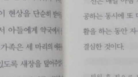 왜 불치병은 호전되는가,켈리터너,변화하고자하는의지,면역체계,스트레스,브라이언,대체치료,기존치료법,상호보완적접근,의사간호사,병원,호스피스케어,생환자,반대의견누르기, 프라나