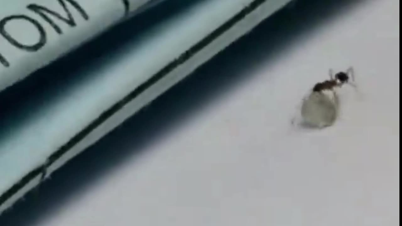 ant man is misusing his power