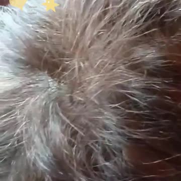 La mia colorazione fatta in casa