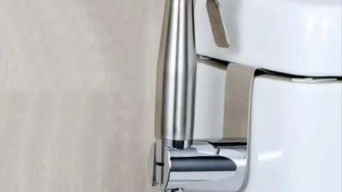 Hand Held shower-Sprayer bidet