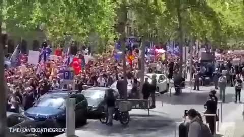 manifestaciones