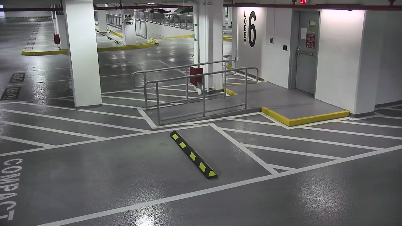 6082RHOBG3G306ANorthLobby_2021-01-06_03h00min01s153ms.mp4