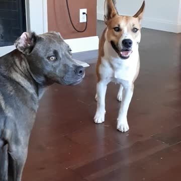 Tucker Carlson Looks Great Today