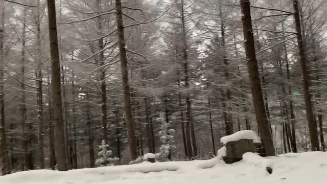 Camping in the Snowy Winter Mountains