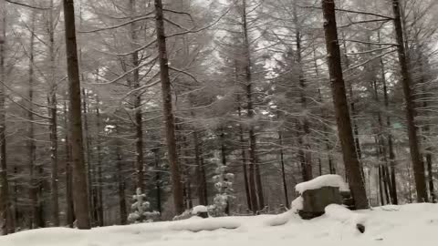 Camping in the Snowy Winter Mountains
