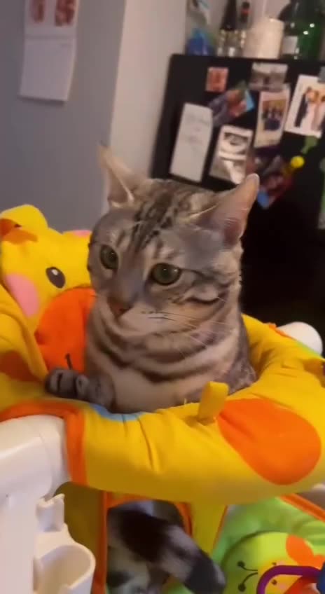 Kids want same treatment